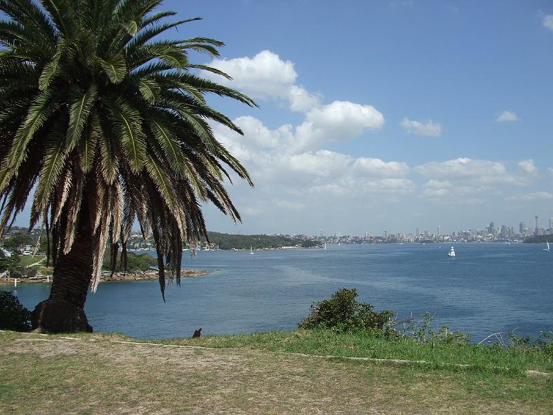 Watson Bay (2)